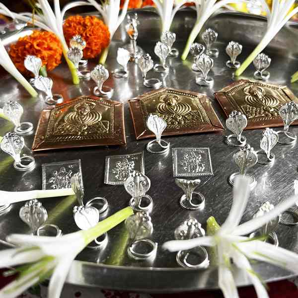 Narayan Nagbali Puja